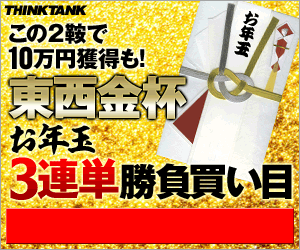 ¥·¥ó¥¯¥¿¥ó¥¯¡§¶âÇÕ300_250