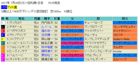 TVh賞2017予想