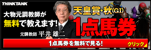 シンクタンク天皇賞秋