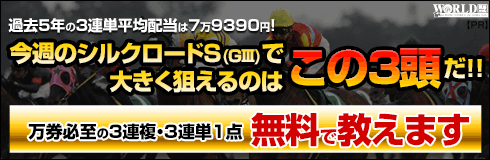 ワールド:シルクロードS490-160