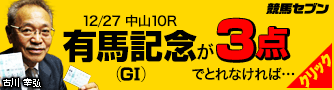 七騎の会:有馬記念334_90