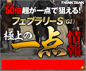 シンクタンク:フェブラリーS300_250