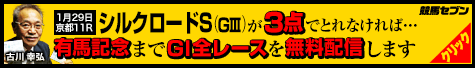 競馬セブンシルクロード