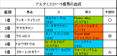アルテミスステークス2017結果