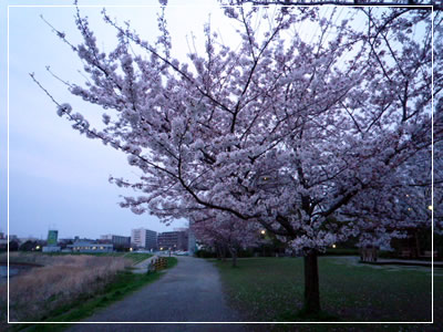 �ޥ饽�����