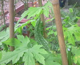 975812b7.jpg