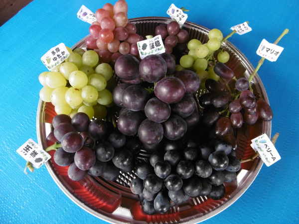 P1200570