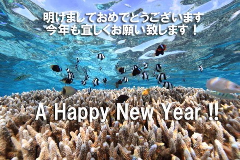 2013_001