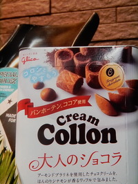 DSCN4060