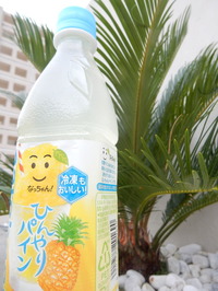DSCN2482