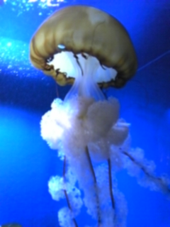 5bd7d65d.jpg