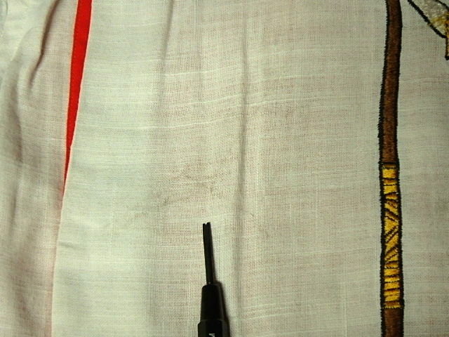 P3060053