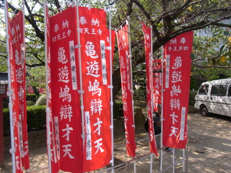 RIMG0842