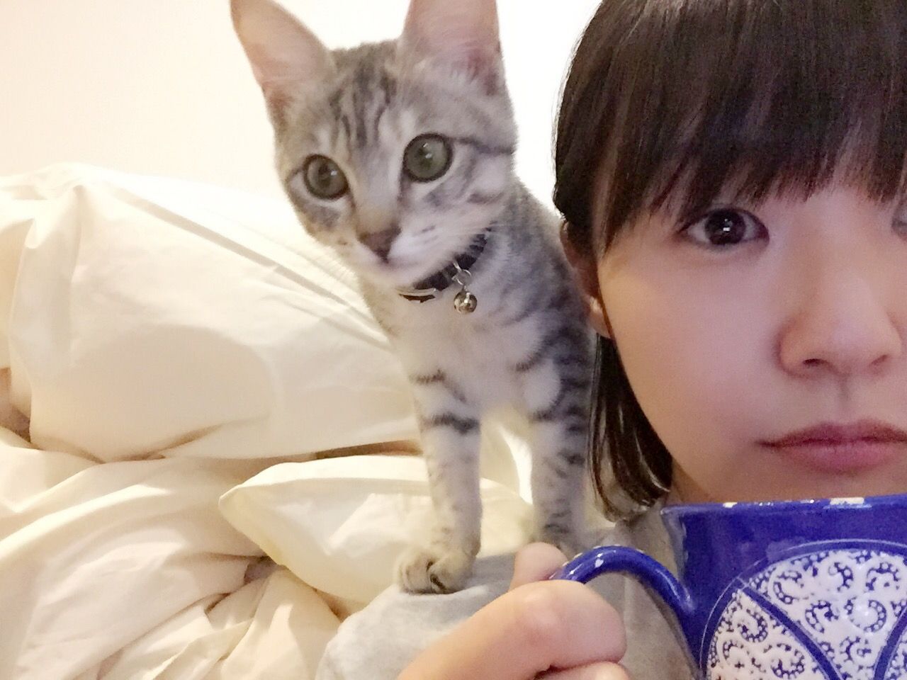お前らがなんで「猫を飼わない」人生を選ぶのかが分からん。 	->画像>15枚 