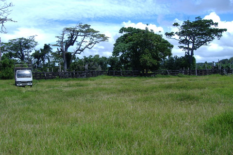DSCF0047