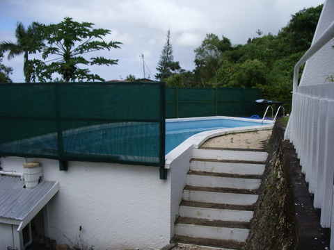 IMGP1482