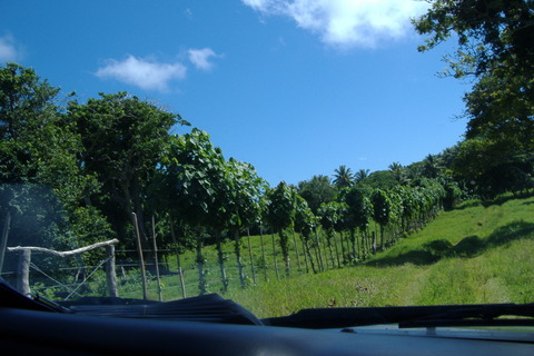 DSCF0032