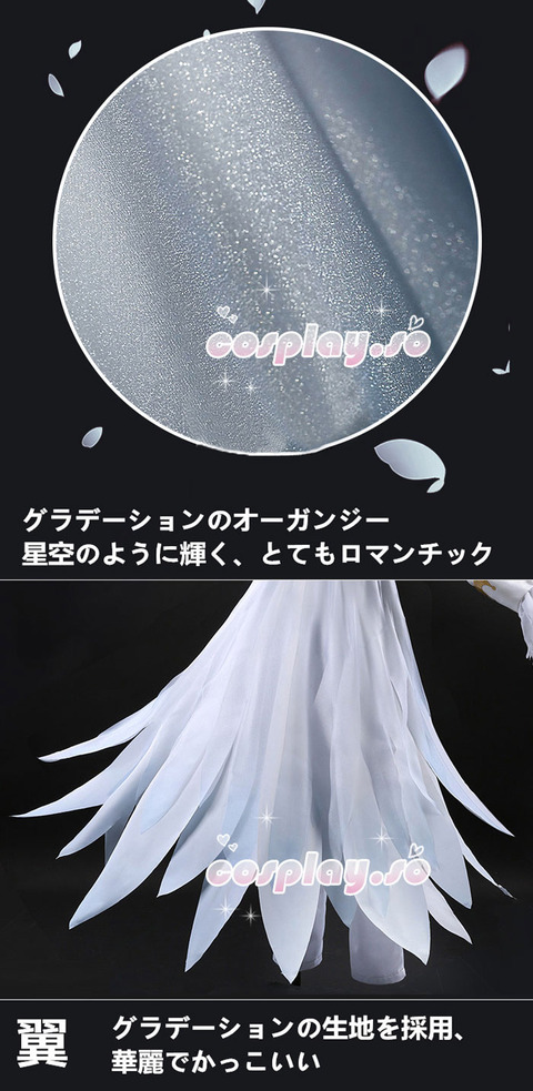 SAKURA-003812