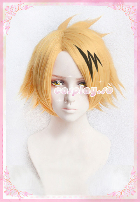 OTHERCOS-022004