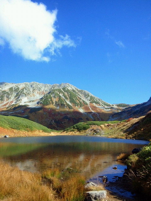 NEC_0016.JPG