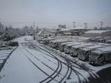 s-画像 3641