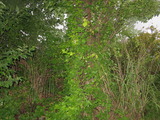 IMG_8563