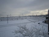 s-画像 3643