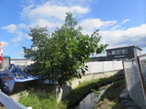 IMG_2557