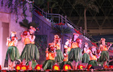 20120206-00000081-mai-000-view