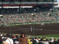 20160305_041541882_iOS