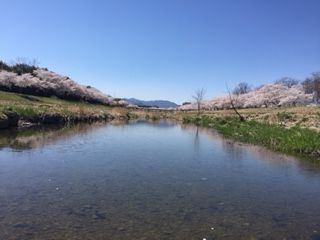 小山川児玉2018_2