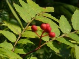 eb4983ba.jpg