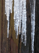 fe979084.jpg