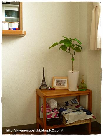 003-9.jpg