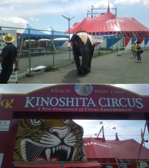 kinosita