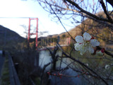 IMGP3821