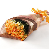 orange_rose_img_02