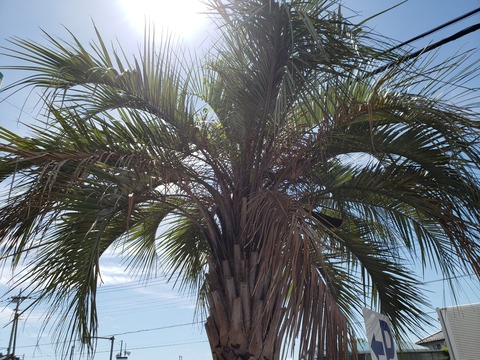 20180630_092305