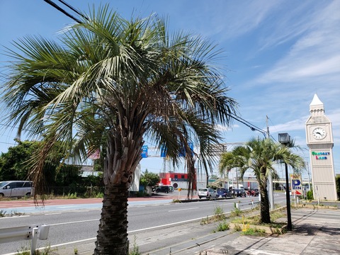 20180630_092244(0)