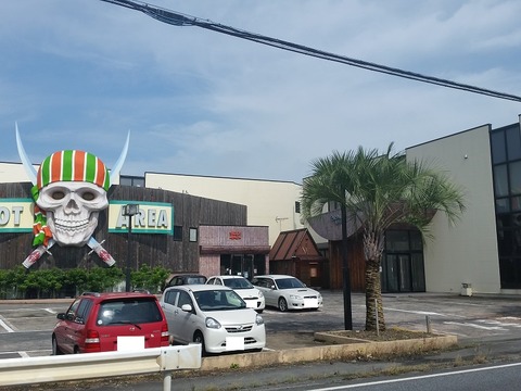 ガイコツとココスヤシ