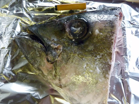 tuna_before