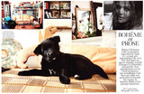 FrenchVogueHelena12