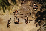 s-83834_naomi_campbell-baz-sep09-2_122_373lo