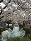 8EF873B6-FCF9-45DC-9B85-58ED09A80459