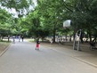 IMG_1729