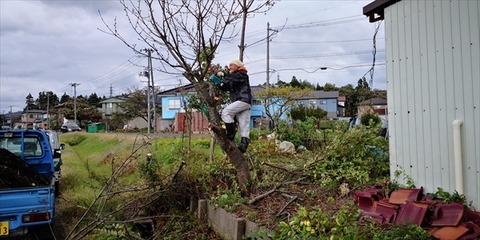 IMG_20181030_095852