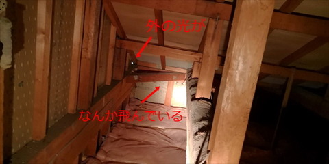 IMG_20180619_171848_R
