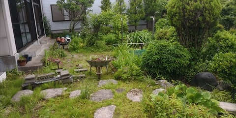 IMG_20180618_110714_R