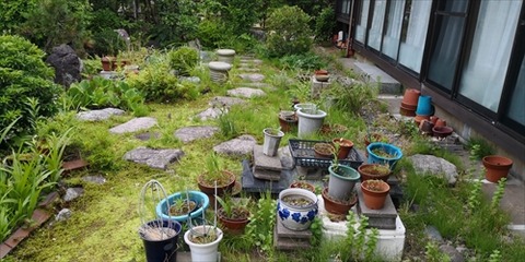 IMG_20180618_082652_R