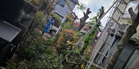 IMG_20181105_093749